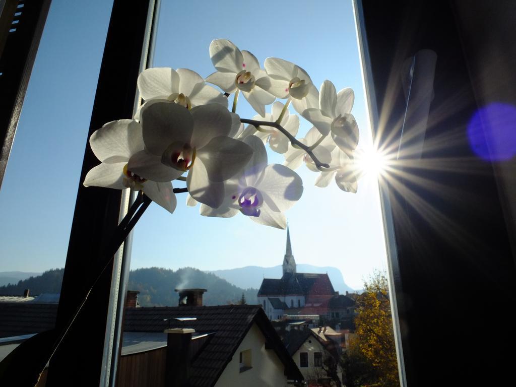 Vila Mila Bled Exteriér fotografie