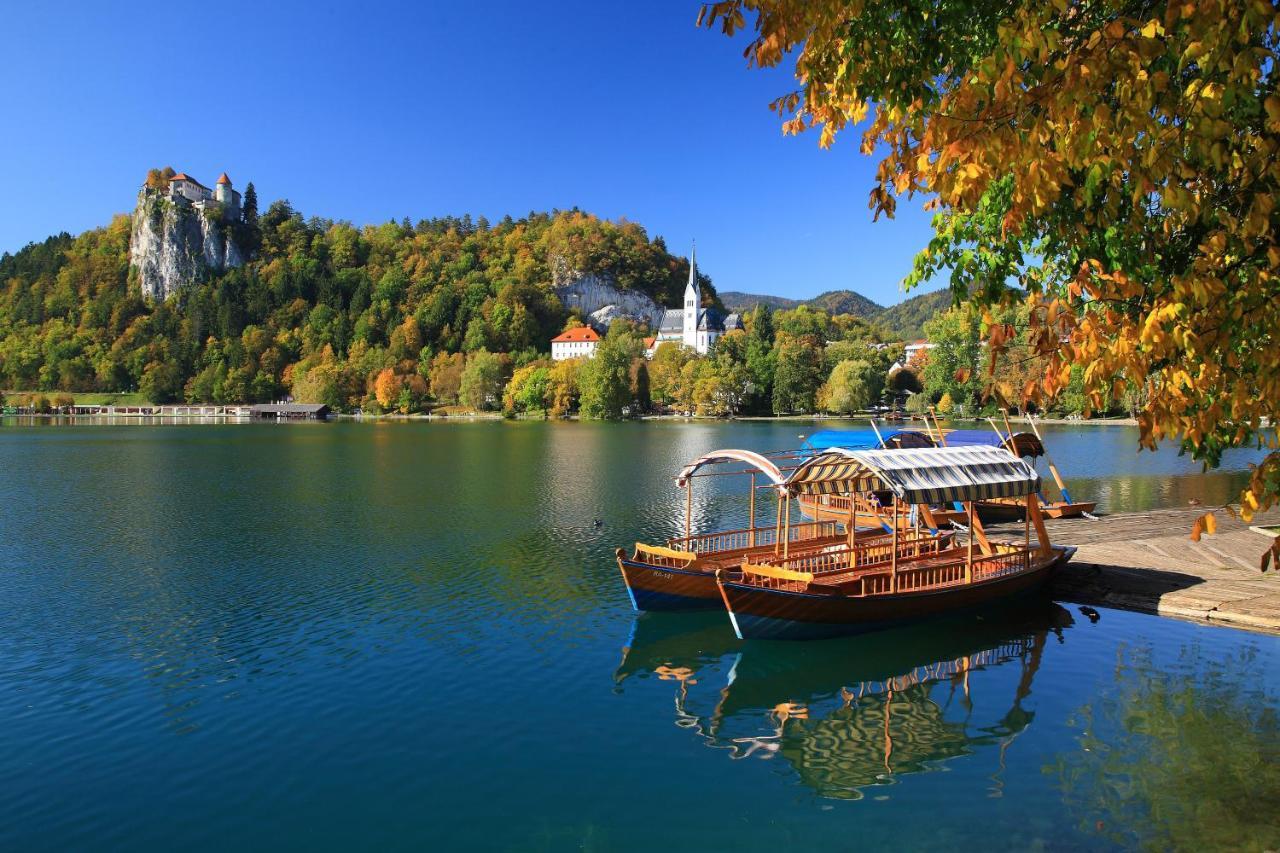 Vila Mila Bled Exteriér fotografie
